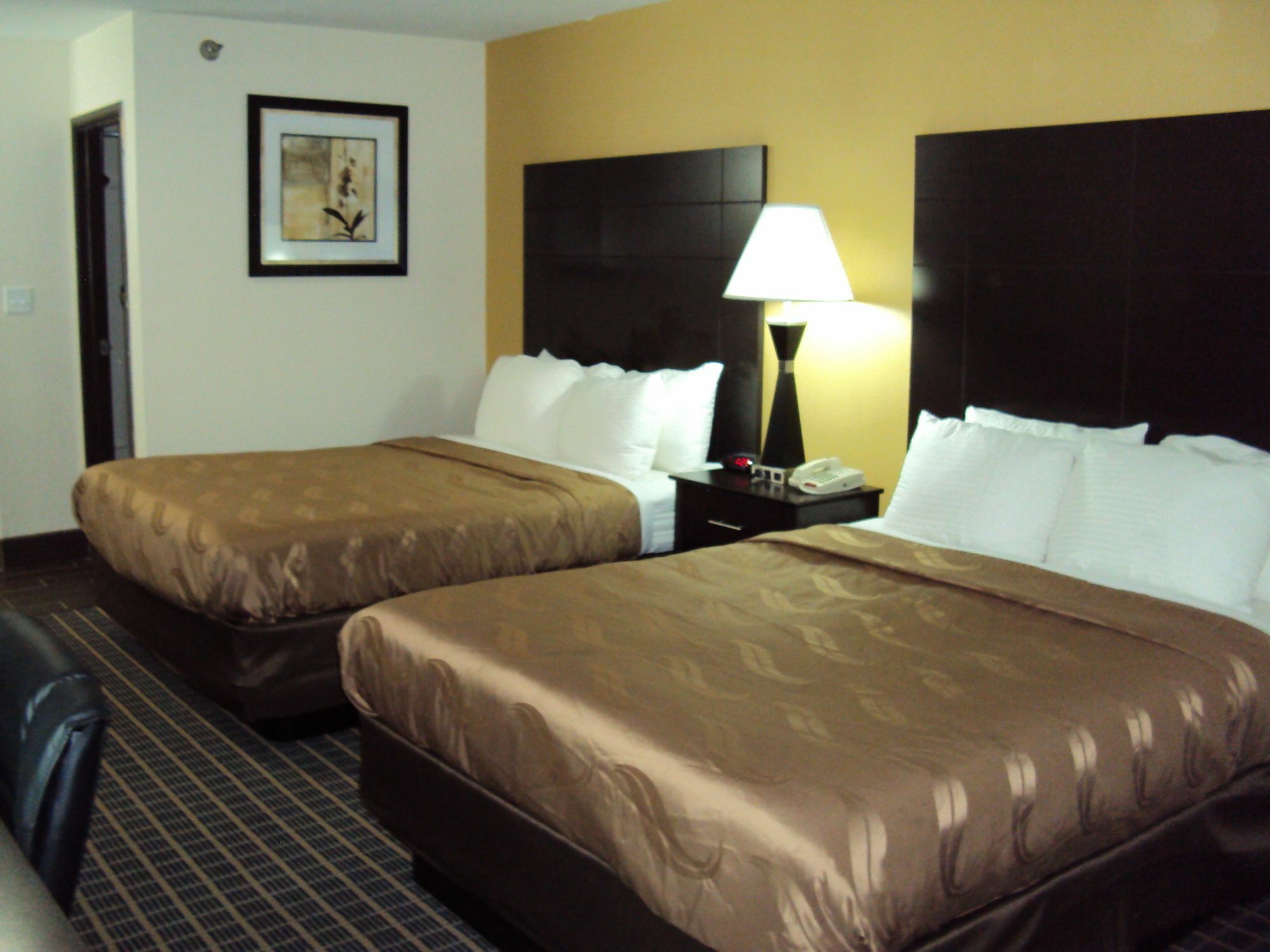 Quality Inn Carbondale University Area Extérieur photo