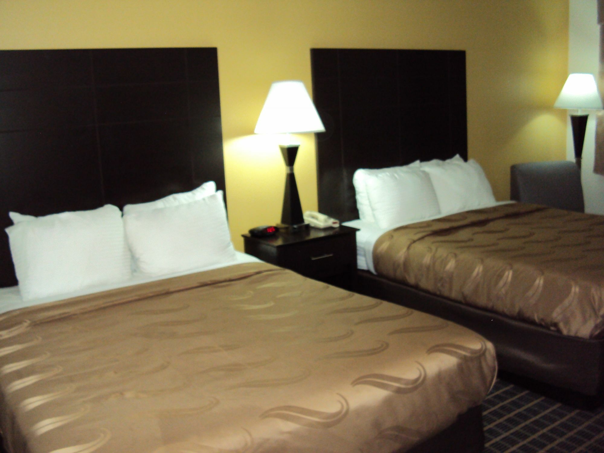 Quality Inn Carbondale University Area Extérieur photo